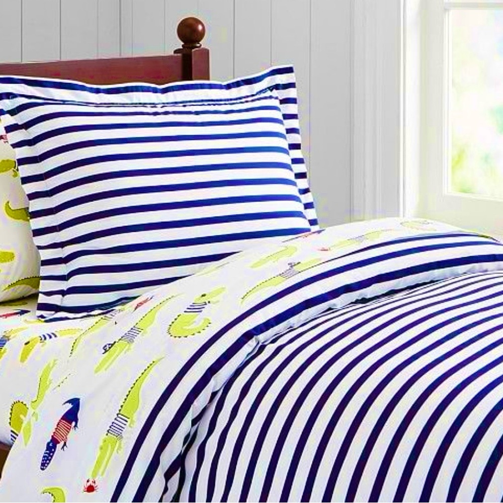 Pottery Barn Kids Blue and White Duvet Cover